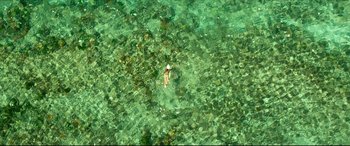 Movie still from “The Shallows” (2016), directed by Jaume Collet-Serra – A woman swimming in a body of water; Extreme Wide shot, Overhead angle