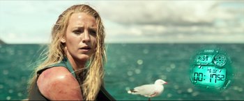 Movie still from “The Shallows” (2016), directed by Jaume Collet-Serra – A woman standing in front of the ocean next to a bird; Close Up shot, Low angle