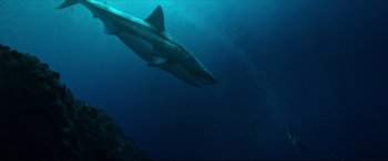 Movie still from “The Shallows” (2016), directed by Jaume Collet-Serra – A large shark swimming in the water; Wide shot, Overhead angle