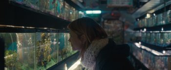 Movie still from “The Skeleton Twins” (2014), directed by Craig Johnson – A woman is looking at a fish in a tank; Close Up shot, Over the shoulder angle