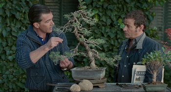 Movie still from “The Skin I Live In” (2011), directed by Pedro Almodóvar – Two men looking at a bonsai tree in a pot; Medium shot, Over the shoulder angle