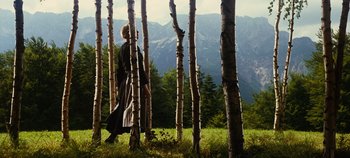 Movie still from “The Sound of Music” (1965), directed by Robert Wise – A person standing in a forest near some trees; Wide shot, Low angle