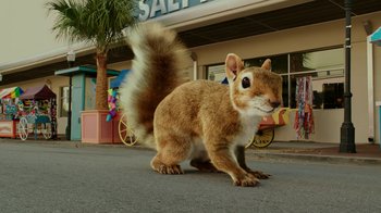 Movie still from “The SpongeBob Movie: Sponge Out of Water” (2015), directed by Mike Mitchell – A squirrel standing on the side of the street; Extreme Close Up shot, Low angle