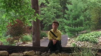 Movie still from “The Station Agent” (2003), directed by Tom McCarthy – A man sitting on the side of the road in the woods; Wide shot, High angle