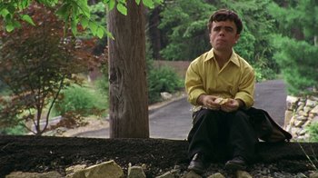 Movie still from “The Station Agent” (2003), directed by Tom McCarthy – A man sitting on the ground in front of a tree; Medium shot, High angle