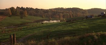 Movie still from “The Straight Story” (1999), directed by David Lynch – A herd of cattle grazing on a lush green hillside; Extreme Wide shot, High angle