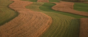 Movie still from “The Straight Story” (1999), directed by David Lynch – An aerial view of an open field with green and brown grass; Extreme Wide shot, High angle