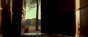Movie still from “The Strangers” (2008), directed by Bryan Bertino – A view of a tree from outside a barn door; Extreme Wide shot, Low angle