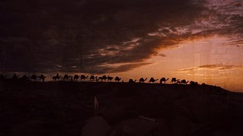 Movie still from “The Ten Commandments” (1956), directed by Cecil B. DeMille – A herd of camels walking across a dry grass field; Extreme Wide shot, Low angle