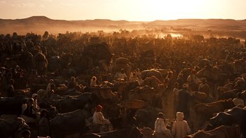 Movie still from “The Ten Commandments” (1956), directed by Cecil B. DeMille – A large herd of cattle gathered in a field at sunset; Extreme Wide shot, High angle