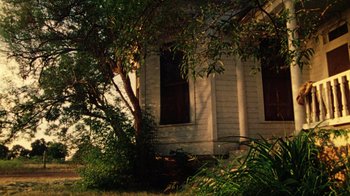 Movie still from “The Texas Chain Saw Massacre” (1974), directed by Tobe Hooper – A tree in front of an old house; Extreme Wide shot, Low angle