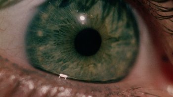 Movie still from “The Texas Chain Saw Massacre” (1974), directed by Tobe Hooper – The eye of a person with green eyes; Extreme Close Up shot, Overhead angle