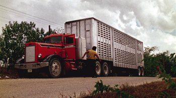 Movie still from “The Texas Chain Saw Massacre” (1974), directed by Tobe Hooper – A man standing on the back of a red truck; Extreme Wide shot, Low angle