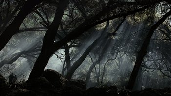 Movie still from “The Texas Chainsaw Massacre” (2003), directed by Marcus Nispel – The sun is shining through the branches of a tree; Extreme Wide shot, Low angle