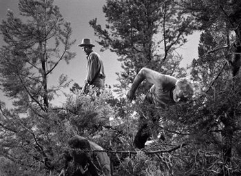 Movie still from “The Treasure of the Sierra Madre” (1948), directed by John Huston – An old photo of a man jumping in the air; Wide shot, Low angle
