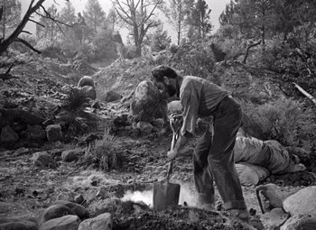 Movie still from “The Treasure of the Sierra Madre” (1948), directed by John Huston – An old photo of a man chopping wood in the woods; Wide shot, High angle
