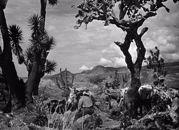 Movie still from “The Treasure of the Sierra Madre” (1948), directed by John Huston – A black and white photo of a group of people in the wilderness; Wide shot, Low angle