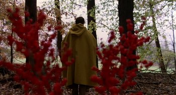 Movie still from “The Village” (2004), directed by M. Night Shyamalan – A person wearing a cape standing in the woods; Extreme Wide shot, High angle