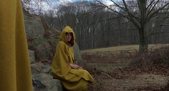 Movie still from “The Village” (2004), directed by M. Night Shyamalan – A woman sitting on a rock wearing a yellow cape; Wide shot, High angle