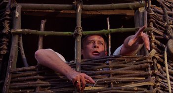 Movie still from “The Wicker Man” (1973), directed by Robin Hardy – A man is looking over a wooden fence; Close Up shot, Low angle