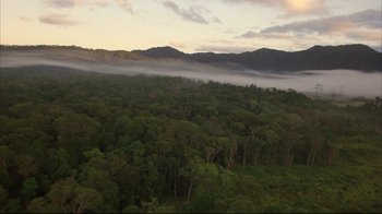 Movie still from “Full Metal Jacket” (1987), directed by Stanley Kubrick – A view of a lush green forest from a helicopter; Extreme Wide shot, High angle
