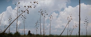 Movie still from “Tombstone” (1993), directed by George P. Cosmatos – A person riding a horse in a field with tall plants; Extreme Wide shot, Low angle