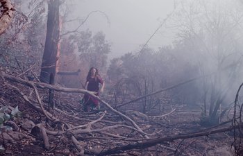 Movie still from “Too Late to Die Young” (2018), directed by Dominga Sotomayor – A woman sitting in the middle of a forest; Extreme Wide shot, Low angle