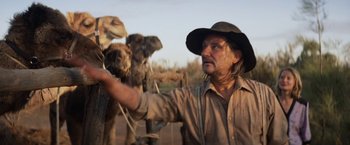 Movie still from “Tracks” (2013), directed by John Curran – A man in a cowboy hat standing in front of a herd of camels; Close Up shot, Low angle