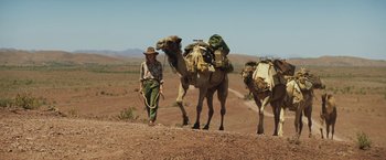 Movie still from “Tracks” (2013), directed by John Curran – A man leading a camel down a dirt road; Wide shot, Low angle