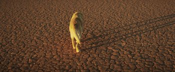 Movie still from “Tracks” (2013), directed by John Curran – A dog walking across a dried up ground; Wide shot, High angle