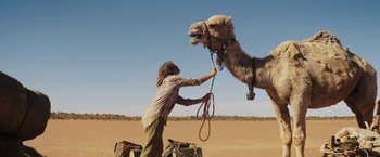 Movie still from “Tracks” (2013), directed by John Curran – A person holding a rope for a camel to pull it; Wide shot, Low angle