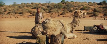 Movie still from “Tracks” (2013), directed by John Curran – A woman standing next to an animal in the desert; Wide shot, Low angle