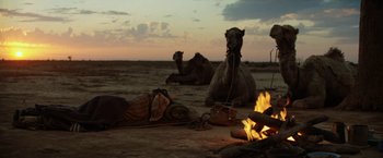 Movie still from “Tracks” (2013), directed by John Curran – A couple of camels sitting next to a fire pit; Wide shot, Low angle