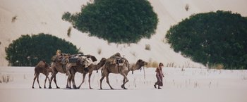 Movie still from “Tracks” (2013), directed by John Curran – A man leading three camel across a snow covered field; Extreme Wide shot, Low angle