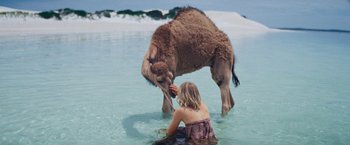 Movie still from “Tracks” (2013), directed by John Curran – A woman in the water petting a camel; Wide shot, Over the shoulder angle