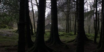 Movie still from “Under the Skin” (2013), directed by Jonathan Glazer – Trees in a forest with a cabin in the background; Extreme Wide shot, Low angle