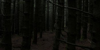 Movie still from “Under the Skin” (2013), directed by Jonathan Glazer – A man standing in the middle of a forest; Extreme Wide shot, High angle