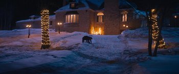 Movie still from “Violent Night” (2022), directed by Tommy Wirkola – A dog is standing in the middle of a snow covered street; Extreme Wide shot, High angle