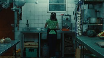 Movie still from “Wild Tales” (2014), directed by Damián Szifron – A woman standing at a sink in a kitchen preparing a meal; Medium shot, High angle