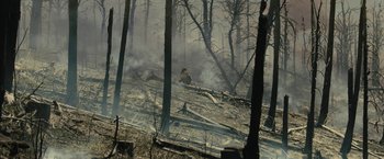 Movie still from “Wrong Turn” (2021), directed by Mike P. Nelson – A person is sitting in the middle of a burned forest; Extreme Wide shot, High angle