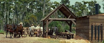 Movie still from “12 Years a Slave” (2013), directed by Steve McQueen – Extreme Wide shot, Low angle
