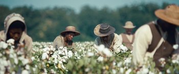 Movie still from “12 Years a Slave” (2013), directed by Steve McQueen – A group of people in a field picking cotton; Extreme Wide shot, High angle