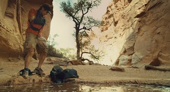 Movie still from “127 Hours” (2010), directed by Danny Boyle – A man standing next to a tree in the middle of the desert; Wide shot, Low angle