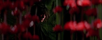 Movie still from “2046” (2004), directed by Kar-Wai Wong – A person with long black hair is in a room with red flowers; Close Up shot, Over the shoulder angle