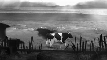 Movie still from “24 Frames” (2017), directed by Abbas Kiarostami – Black and white photo of a cow walking on the beach; Extreme Wide shot, High angle