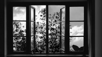 Movie still from “24 Frames” (2017), directed by Abbas Kiarostami – A black and white photo of a bird sitting on a window sill; Wide shot, Low angle