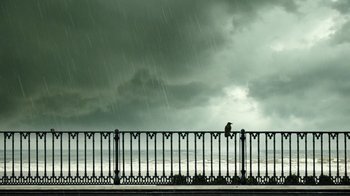 Movie still from “24 Frames” (2017), directed by Abbas Kiarostami – A bird sitting on a railing under a cloudy sky; Extreme Wide shot, Low angle