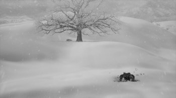 Movie still from “24 Frames” (2017), directed by Abbas Kiarostami – A black and white photo of a tree in the middle of a snowy field; Extreme Wide shot, Low angle