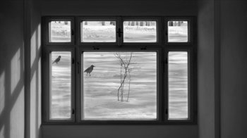 Movie still from “24 Frames” (2017), directed by Abbas Kiarostami – A bird sitting on a window sill looking out a snowy window; Extreme Wide shot, Low angle