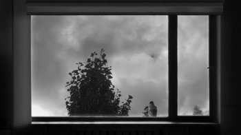 Movie still from “24 Frames” (2017), directed by Abbas Kiarostami – A black and white photo of a bird sitting on a window sill; Extreme Wide shot, Low angle